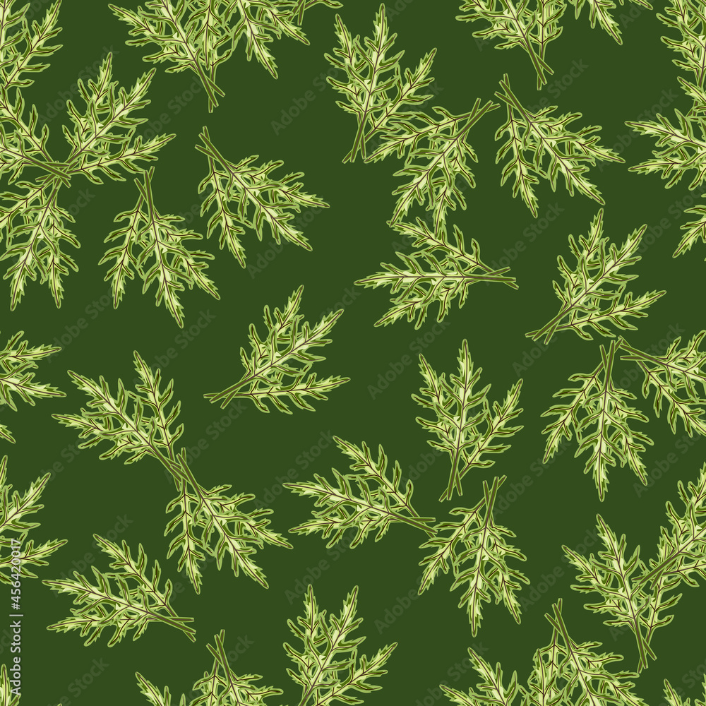 Seamless pattern bunch arugula salad on green background. Modern ornament with lettuce. Seamless pattern bunch arugula salad on green background. Modern ornament with lettuce.