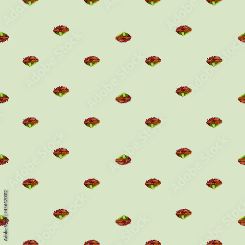 Seamless pattern lola rosa salad on pastel green background. Minimalism ornament with lettuce.
