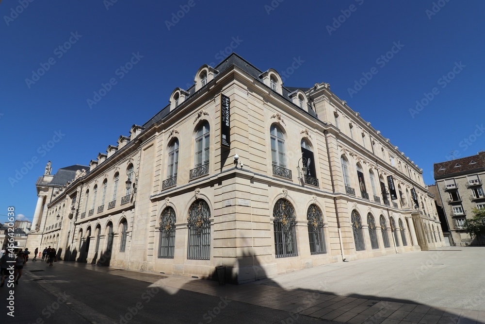 Le musée des beaux arts, ancien palais des ducs de Bourgogne, ville de Dijon, departement de la Cote d'Or, France