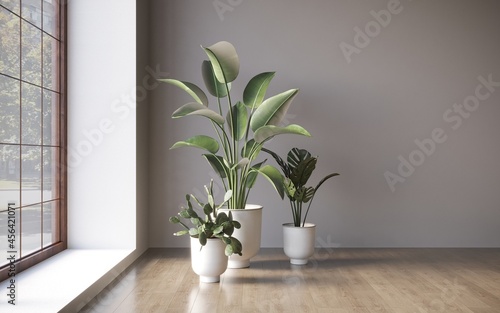 Empty room white walls with beautiful plants sideways on the floor. 3d rendering 
