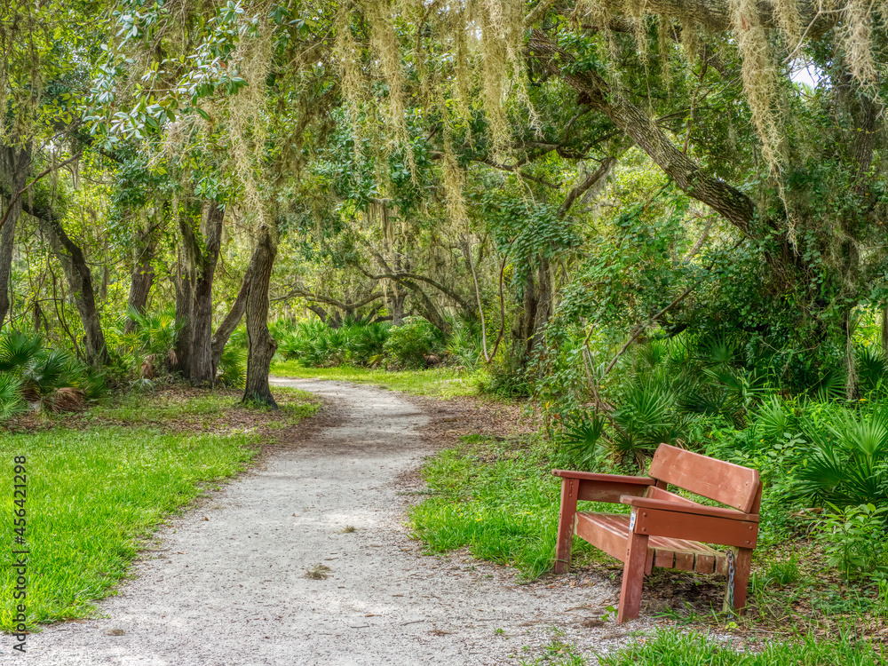Bench on walking trail in Lemon Bay Park and Environmental Center in Englewood on the Gulf Coast of Florida USA Bench on walking trail in Lemon Bay Park and Environmental Center in Englewood on the Gulf Coast of Florida USA
