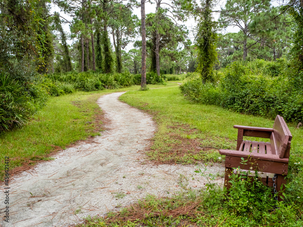 Bench on walking trail in Lemon Bay Park and Environmental Center in Englewood on the Gulf Coast of Florida USA Bench on walking trail in Lemon Bay Park and Environmental Center in Englewood on the Gulf Coast of Florida USA