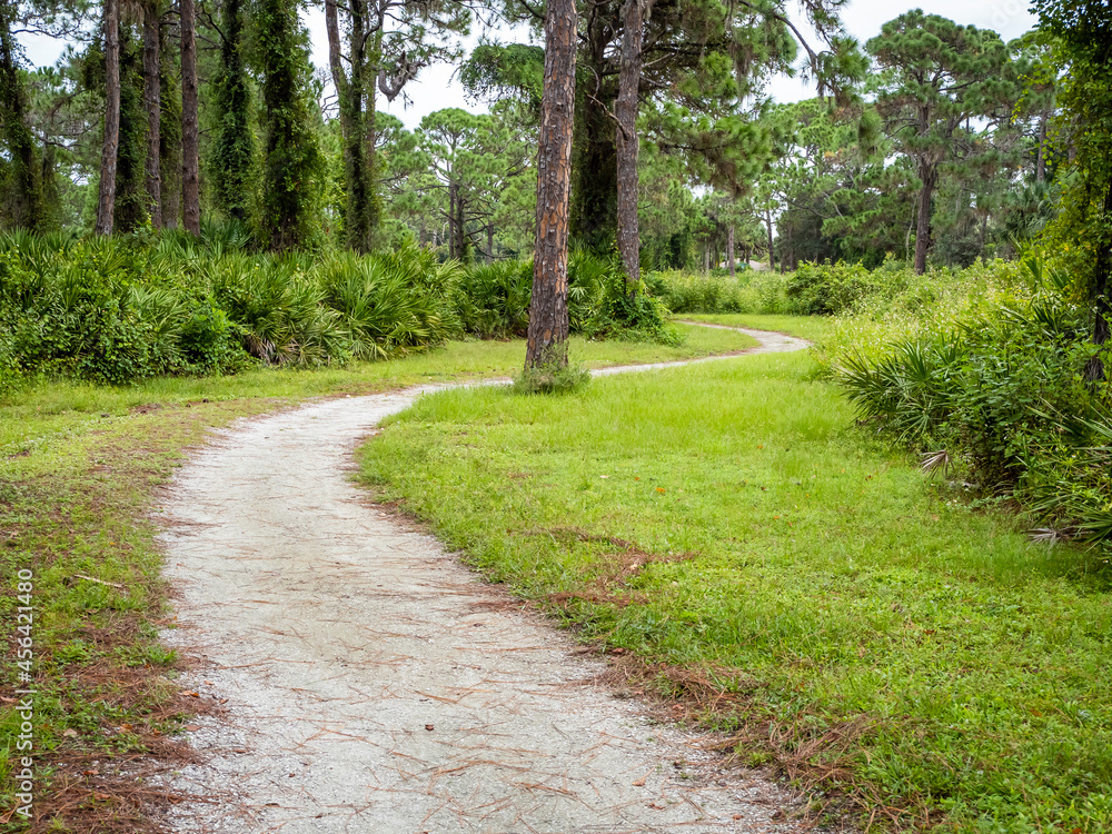 Obraz premium Walking trail in Lemon Bay Park and Environmental Center in Englewood on the Gulf Coast of Florida USA