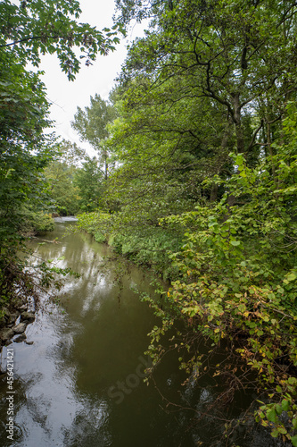 Ingendael nature reserve near Valkenburg, The Netherlands