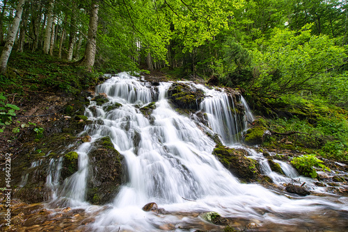 Schreiende Brunnen, Wasserfall, Kaskade im Wald, Tirol, Fieberbrunn, Kitzbühel