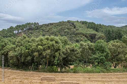 Paisaje con montañas al fondo