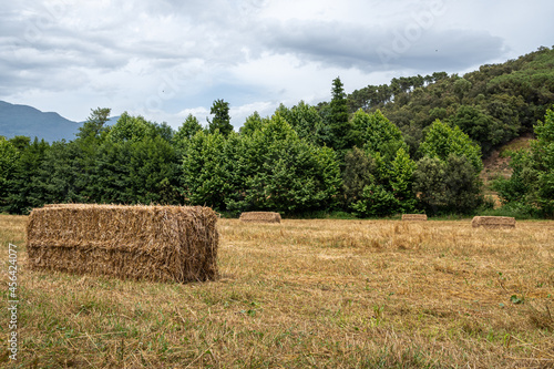 Campo con balas de paja