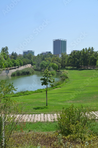  public park with pond and skyscrapers in the background