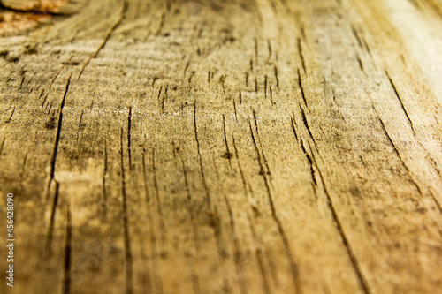 old wood texture