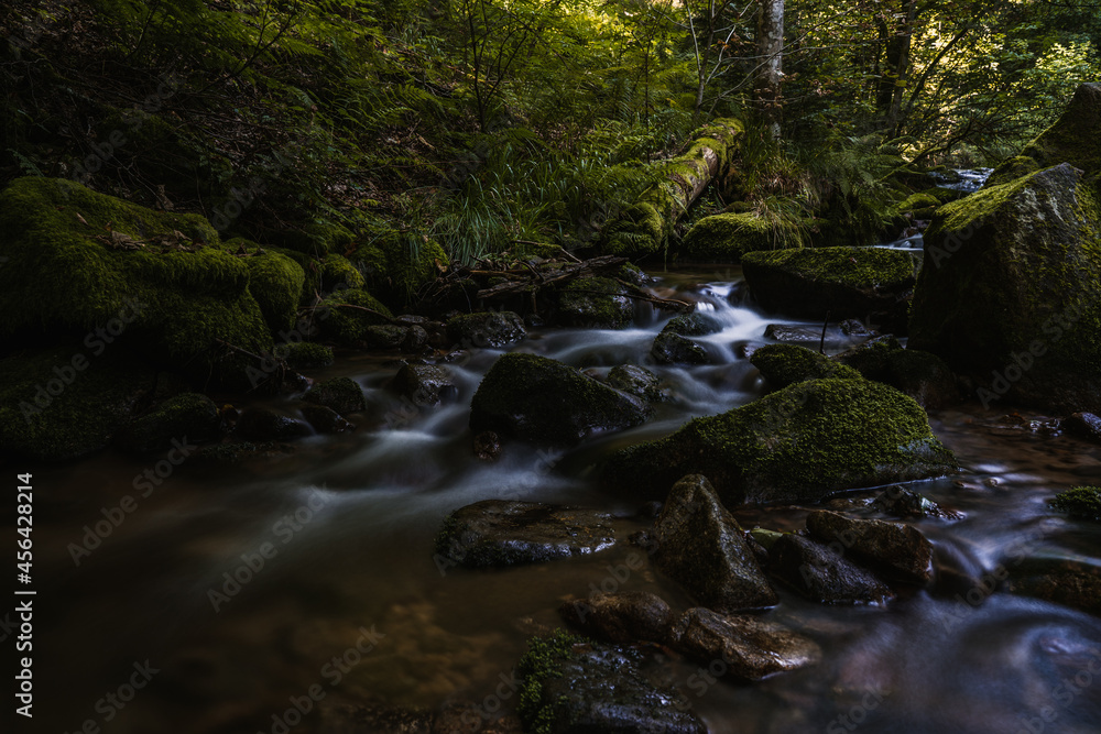 allerheiligen waterfalls of the black forest (Schwarzwald), Baden-Wuerttemberg, Germany