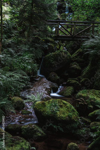 gertelbach bwaterfalls of the black forest (Schwarzwald), Baden-Wuerttemberg, Germany photo