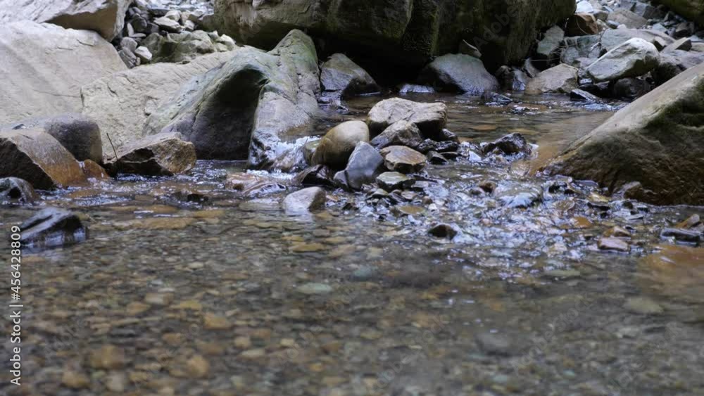 Bright waters of a Carpathian mountain stream on a sunny day in summer Bright waters of a Carpathian mountain stream on a sunny day in summer