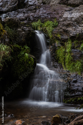 Fototapeta Naklejka Na Ścianę i Meble -  todtnauer waterfalls of the black forest (Schwarzwald)