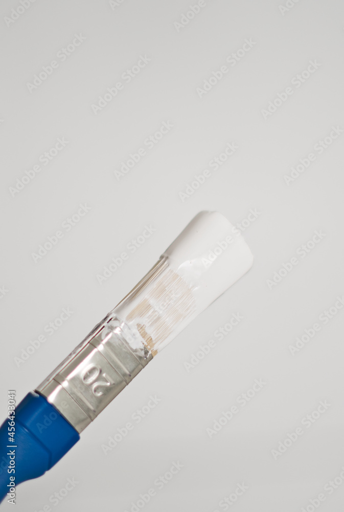 brush in white paint, home repair tools brush in white paint, home repair tools