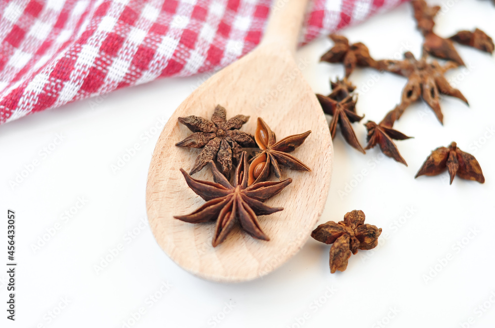 Cinnamon sticks and anise stars on the spoon