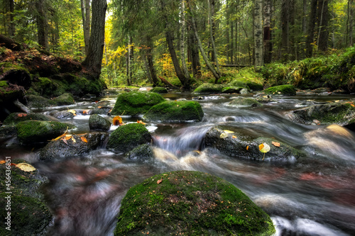 Forest river creek water flow. Beautiful autumn landscape with stones and flowing water at cloudy weather