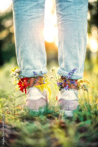 Fototapeta Naklejka Na Ścianę i Meble -  Beautiful wildflowers in shoes on a summer field. Summer background