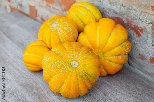 Small homemade yellow melons of the Ethiopka variety. Harvesting melons. photo