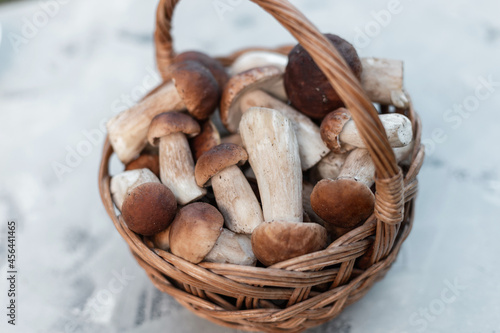 fresh natural mushrooms in a basket on a gray background