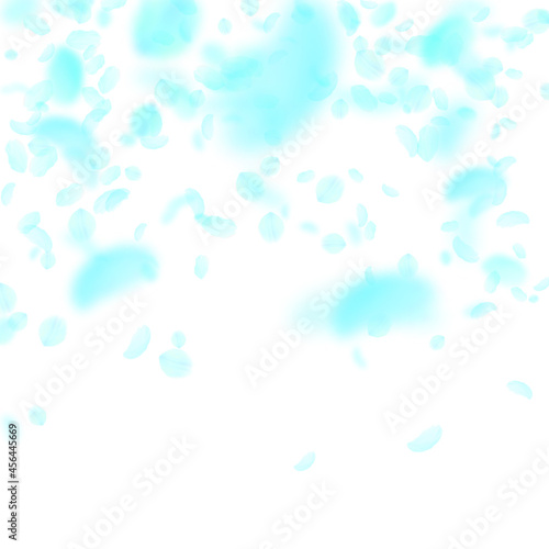 Turquoise flower petals falling down. Adorable rom