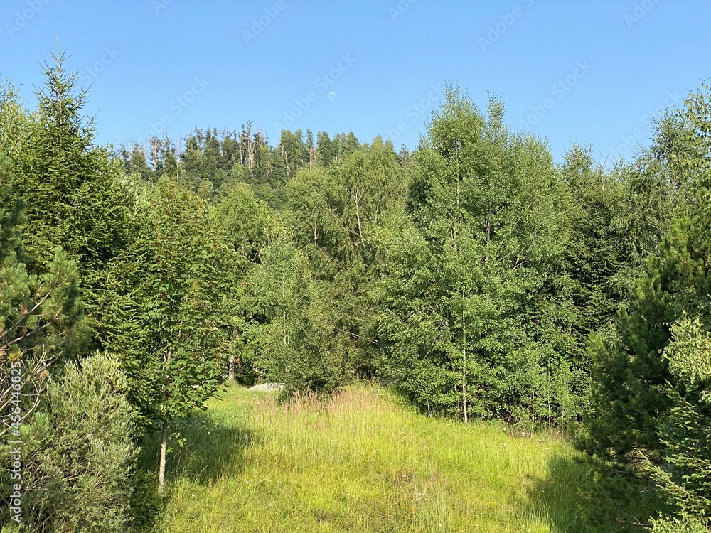 Obraz premium Park with meadows along Lake Lepenica and the surrounding mixed forest of Gorski kotar - Fuzine, Croatia (Park s livadama uz jezero Lepenica i okolnu mješovitu šumu Gorskog kotara - Fužine, Hrvatska)