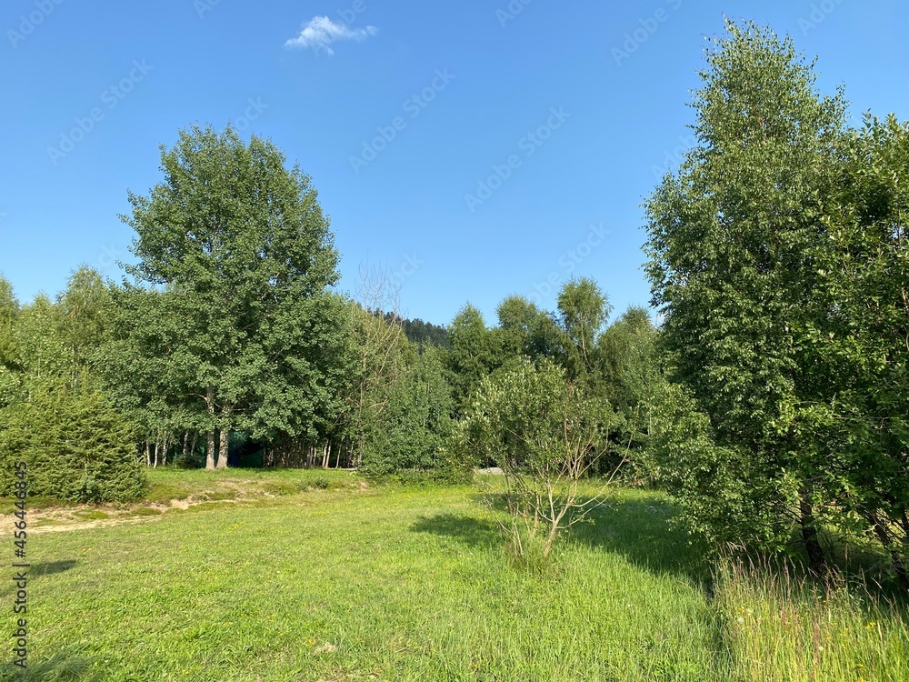 Park with meadows along Lake Lepenica and the surrounding mixed forest of Gorski kotar - Fuzine, Croatia (Park s livadama uz jezero Lepenica i okolnu mješovitu šumu Gorskog kotara - Fužine, Hrvatska)