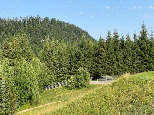 Park with meadows along Lake Lepenica and the surrounding mixed forest of Gorski kotar - Fuzine, Croatia (Park s livadama uz jezero Lepenica i okolnu mješovitu šumu Gorskog kotara - Fužine, Hrvatska) photo