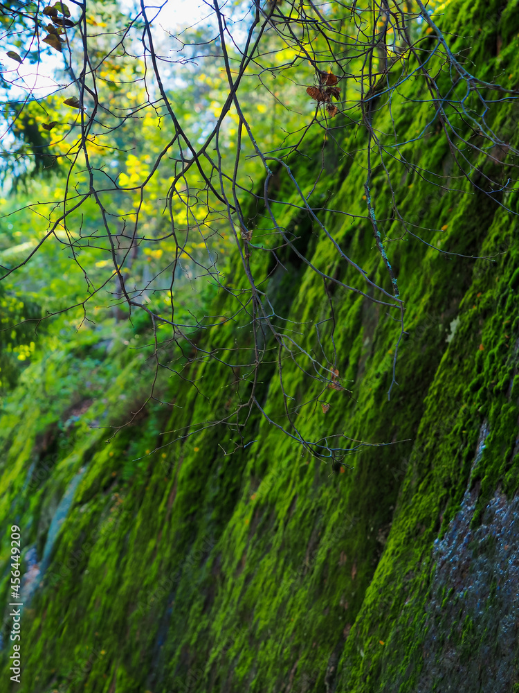 Naklejka premium Beautiful autumn mountain landscape. Mountain nature park, rocks covered with moss. Green moss on rocky hill