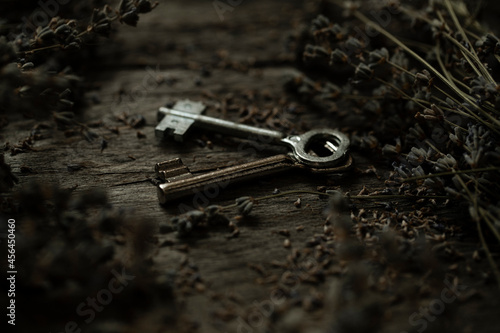 close up of a key © Erika