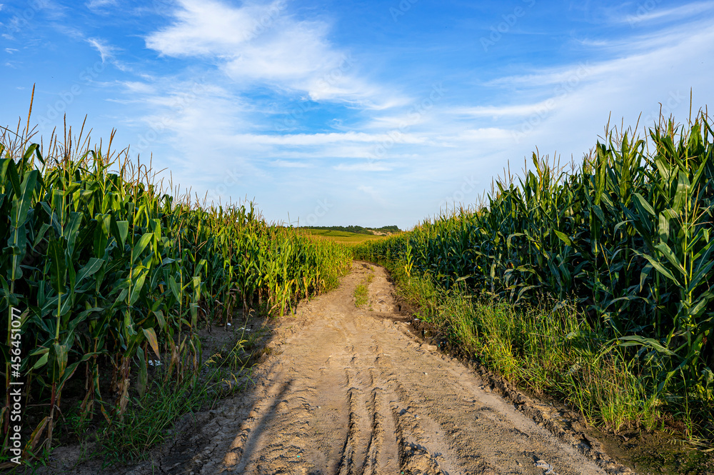 Path in the country field Path in the country field