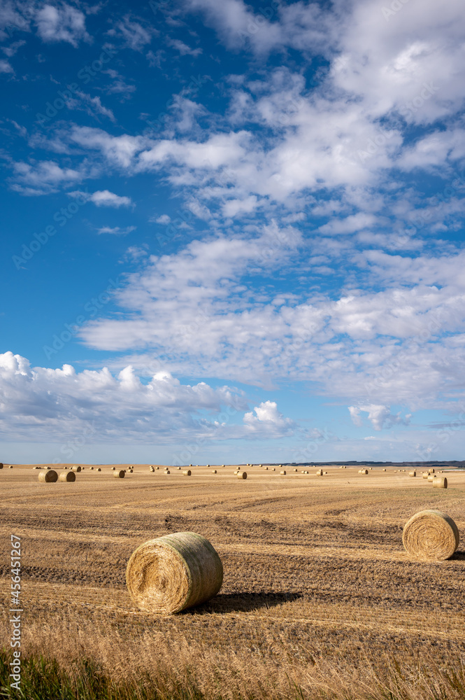 Round bales on a combined field