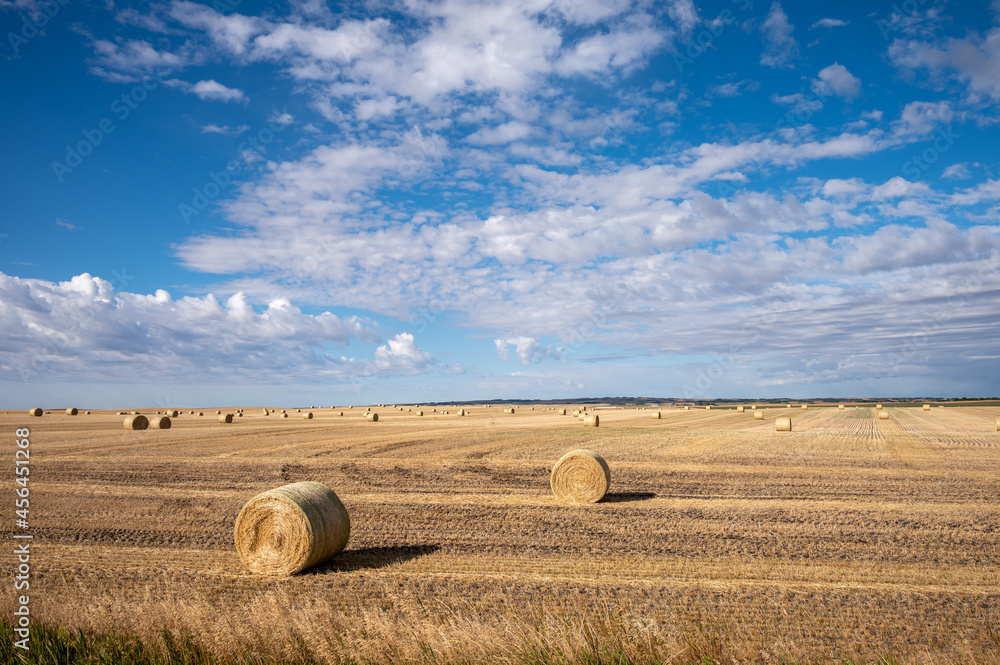 Round bales on a combined field