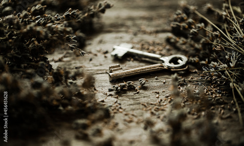 rusty key © Erika