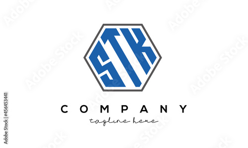 STK creative polygon logo victor template photo