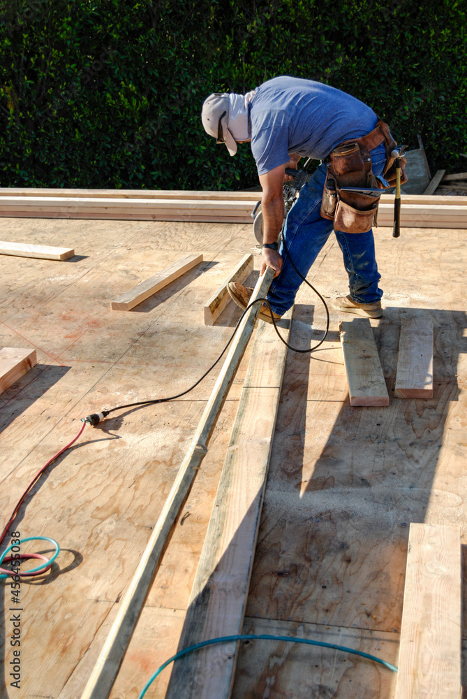 Frame carpenter cutting wood stud with a circular saw Frame carpenter cutting wood stud with a circular saw