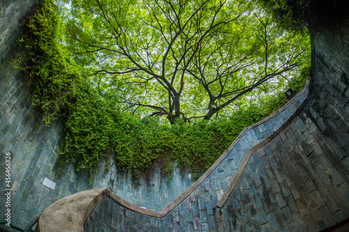 Canvas Print Fort Canning Park Singapore, historical garden in the heart of the city