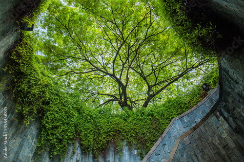 Fort Canning Park Singapore, historical garden in the heart of the city
