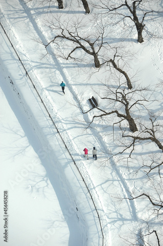 雪景色