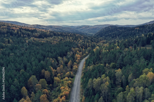 landscape altai russia, autumn top view, drone over the forest © kichigin19