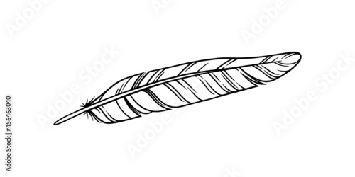 Bird feather for a quill. Sketch feather illustration for a tattoo design. Vector illustration isolated in white background