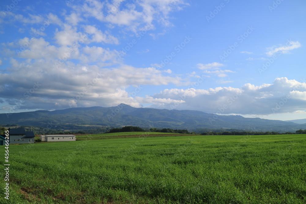 Fototapeta premium 北海道 ニセコの草原と昆布岳