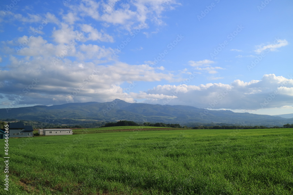 北海道　ニセコの草原と昆布岳