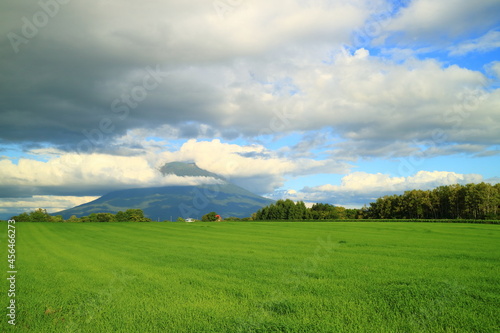 北海道 ニセコの草原と羊蹄山