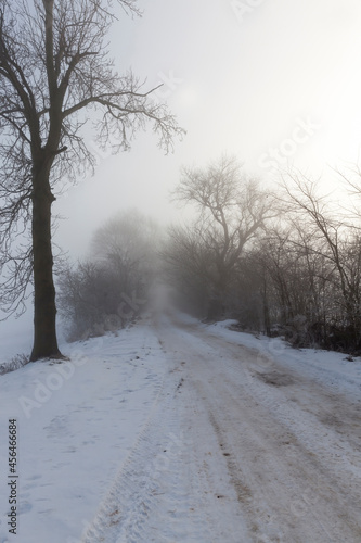 a road covered with snow in the winter season