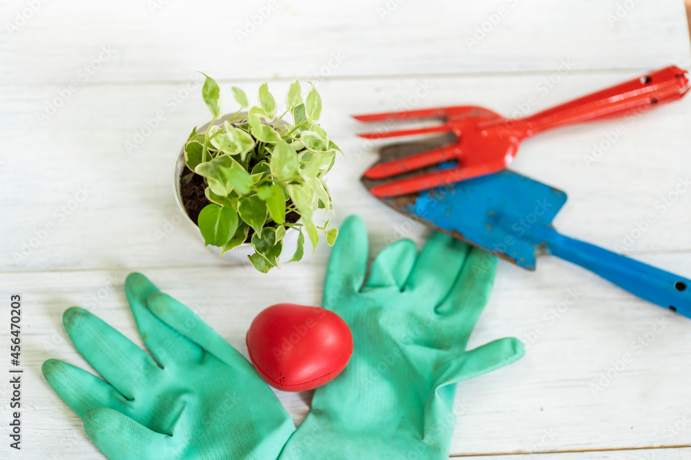 Hobby puts shoveling tools, fertilizing, green gloves, prepares to take care of the plants in the house, helps to eliminate pollution and increase the oxygen in the house. Hobby puts shoveling tools, fertilizing, green gloves, prepares to take care of the plants in the house, helps to eliminate pollution and increase the oxygen in the house.