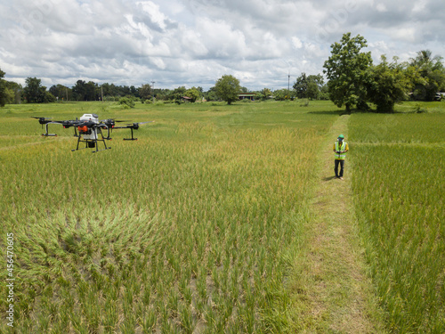 Farmer technicians control agriculture drone fly to sprayed fertilizer on the green rice field smart farm. Agricultural technology concept.