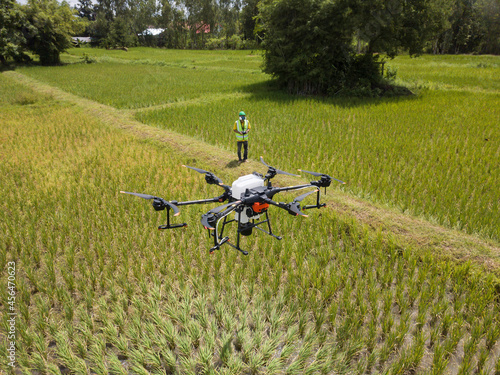 Farmer technicians control agriculture drone fly to sprayed fertilizer on the green rice field smart farm. Agricultural technology concept.