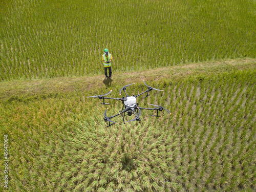 Farmer technicians control agriculture drone fly to sprayed fertilizer on the green rice field smart farm. Agricultural technology concept.