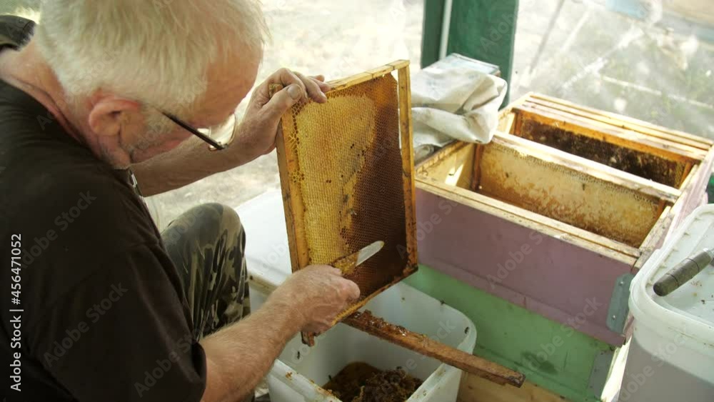 Honey production concept. Beekeeper cuts wax from honeycomb frame . Honey production concept. Beekeeper cuts wax from honeycomb frame .