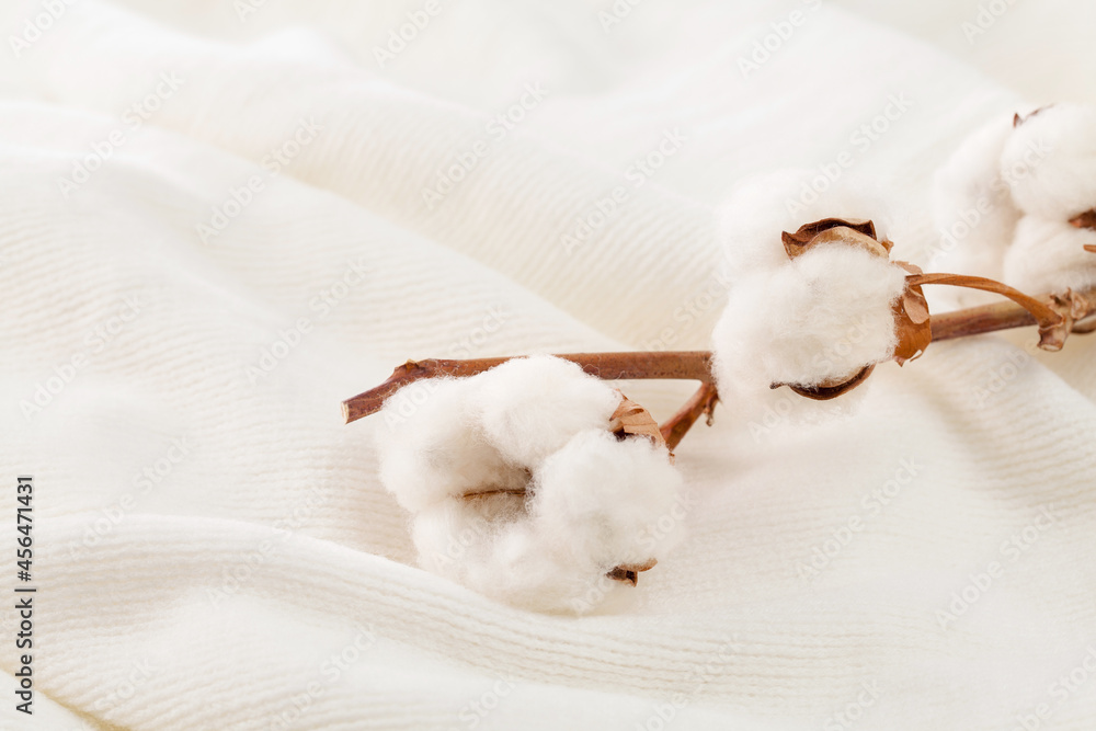 close up of cotton branch on white cotton fabric. - obrazy, fototapety, plakaty 